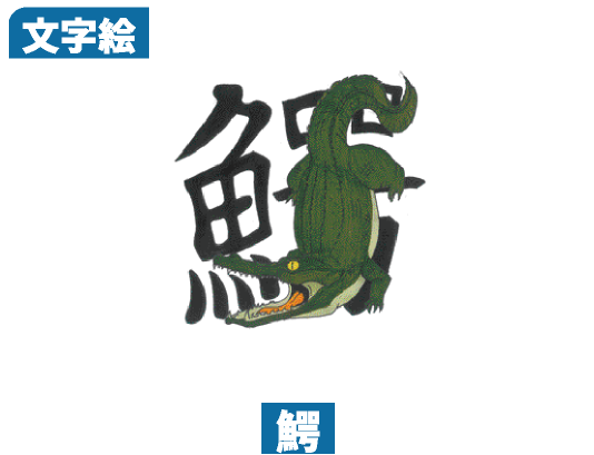 鰐