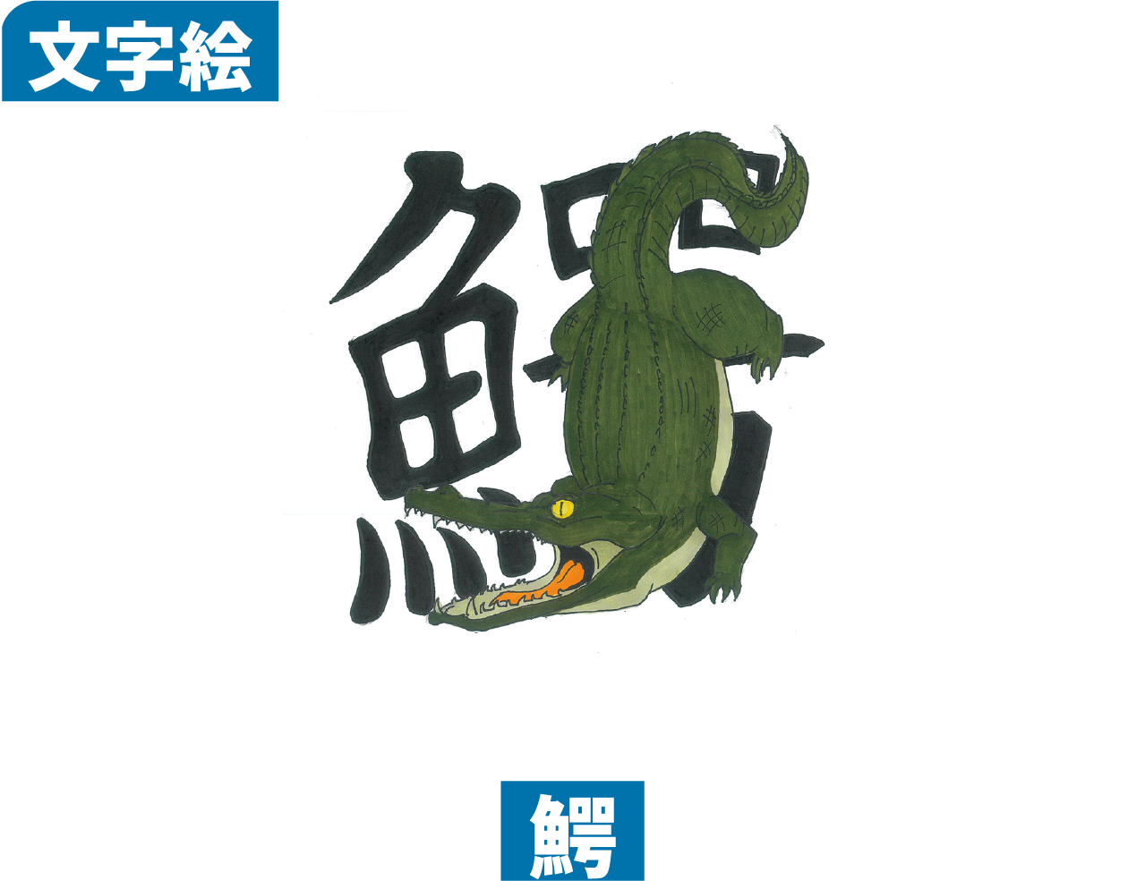 鰐